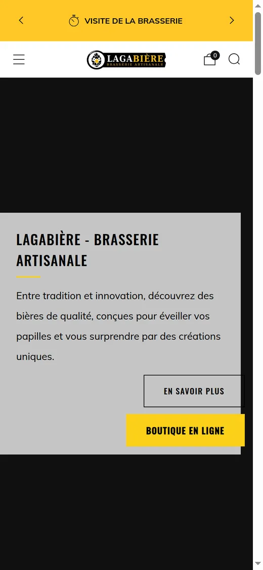 Lagabière — aperçu mobile du site